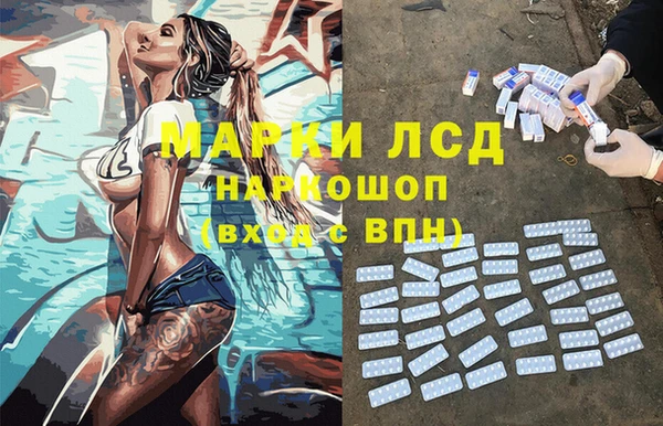 прущий лед Алзамай