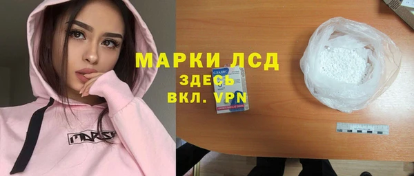прущий лед Алзамай