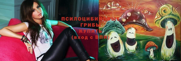 прущий лед Алзамай